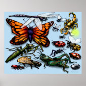 Poster Bugs (Devant)