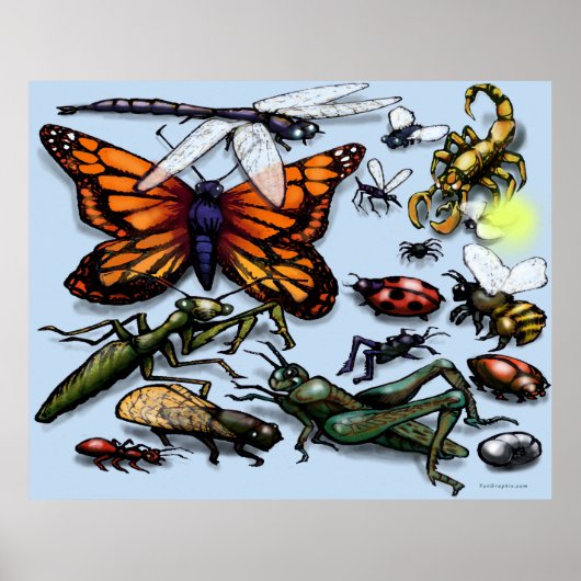 Poster Bugs (Devant)