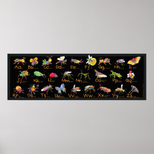 Poster Bugs ABC Whimsical