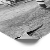 Poster Bugs Raymond Pittsburgh Pirates Baseball (Coin)