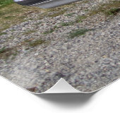 Poster Buick Le Saber (Coin)