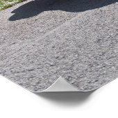 Poster Buick Skylark 1953 (Coin)