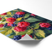 Poster Buisson de framboises et de mûres à l'aquarelle Fr (Coin)