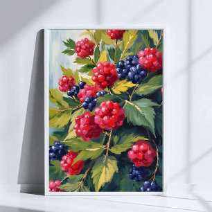 Poster Buisson de framboises et de mûres à l'aquarelle Fr
