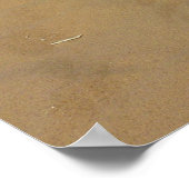 Poster Buisson d'indigo du Mojave et dunes de Kelso (Coin)