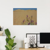 Poster Buisson d'indigo du Mojave et dunes de Kelso (Bureau à domicile)