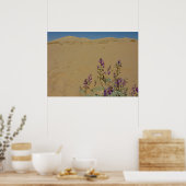 Poster Buisson d'indigo du Mojave et dunes de Kelso (Cuisine)