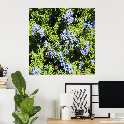 Poster buisson romarin à fleurs (Bureau à domicile)