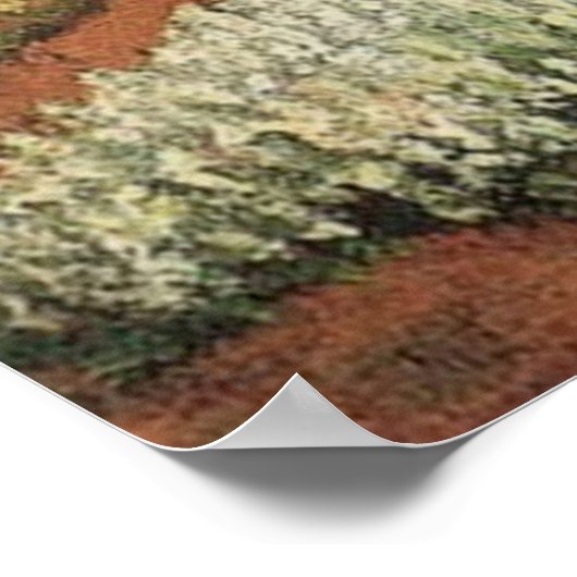 Poster Bulb Fields par Vincent van Gogh. (Coin)