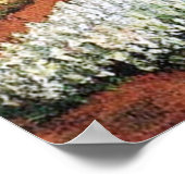 Poster Bulb Fields par Vincent van Gogh. (Coin)