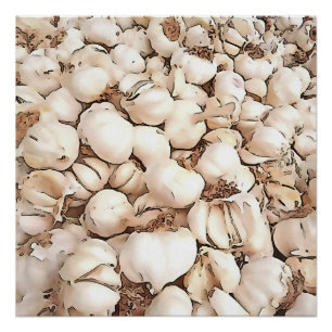 Poster Bulbs Of Garlic Acrylic Art