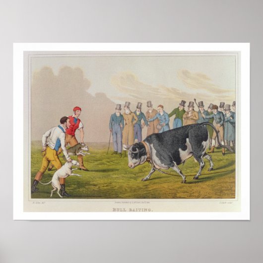 Poster 'Bull Baiting', pub.de Thomas McLean, 1820, (impri (Devant)