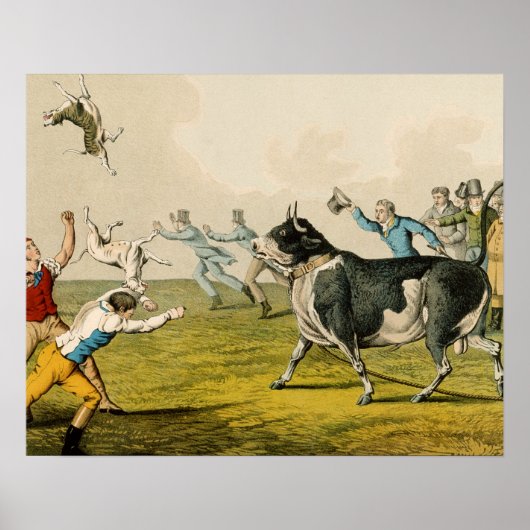 Poster "Bull Baiting", pub. de Thomas McLean, 1820, (prin (Devant)