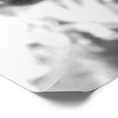 Poster Bull Chief — Apsaroke : 1908 (Coin)