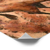 Poster Bull d'Altamira (Coin)