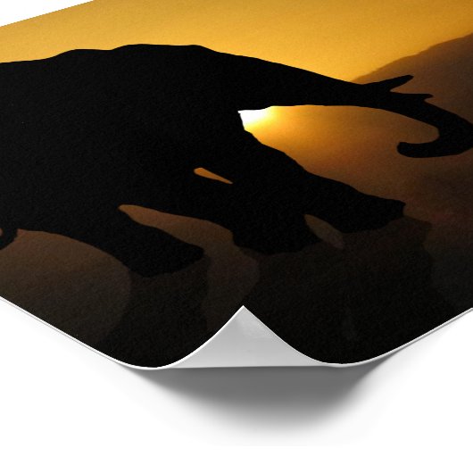 Poster Bull éléphant (Coin)