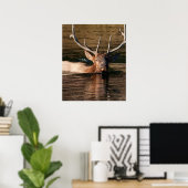 Poster Bull Elk (Bureau à domicile)
