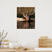 Poster Bull Elk (Cuisine)