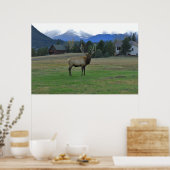 Poster Bull Elk (Cuisine)
