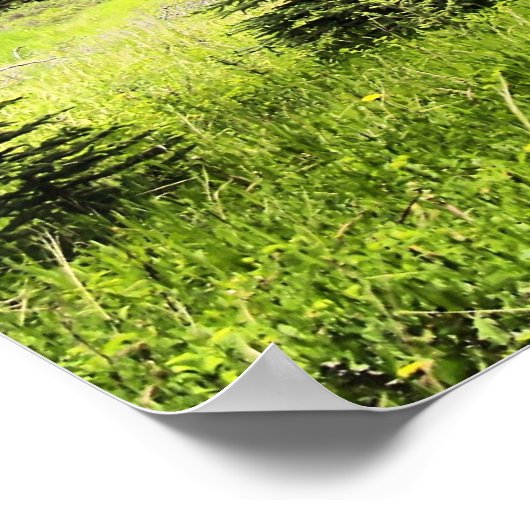 Poster Bull Elk à Castle Mountain Parc national Banff (Coin)