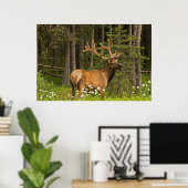 Poster Bull elk à velvet (Bureau à domicile)