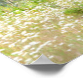 Poster Bull Elk dans la chaîne nationale de bisons, Monta (Coin)