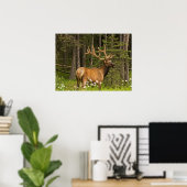 Poster Bull Elk in Velvet, Canada (Bureau à domicile)