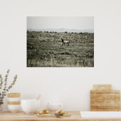 Poster Bull Elk P2800 Imprimer (Cuisine)