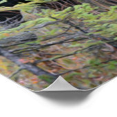 Poster Bull Moose (Coin)