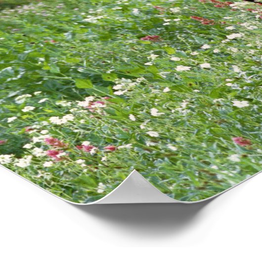 Poster Bull moose Alces alces) en fleur sauvage, (Coin)