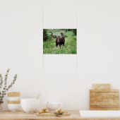 Poster Bull moose Alces alces) en fleur sauvage, (Cuisine)