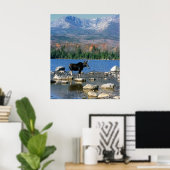 Poster Bull Moose et Mont Katahdin (Bureau à domicile)