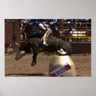 Poster Bull rider est accroché pour ma vie chère