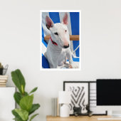 Poster Bull Terrier (Bureau à domicile)