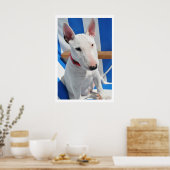 Poster Bull Terrier (Cuisine)