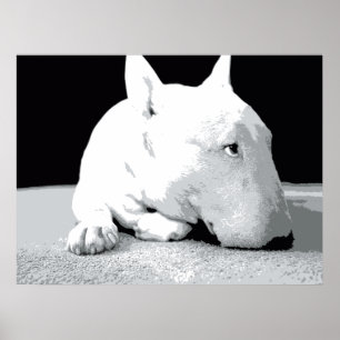 Poster Bull-terrier anglais, copie d'art de bruit