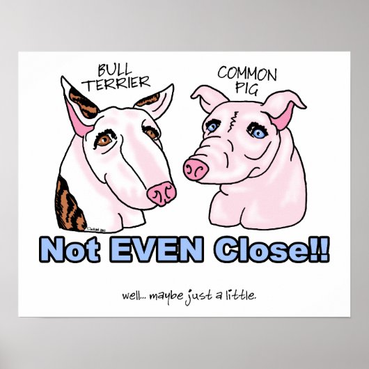 Poster Bull Terrier PAS un porc (Devant)
