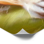 Poster Bulldog (Coin)