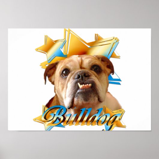 Poster bulldog anglais (Devant)