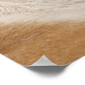 Poster Bulldog anglais (6 ans) (Coin)