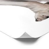 Poster Bulldog anglais, assis (Coin)