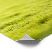 Poster Bulldog dans le champ (Coin)