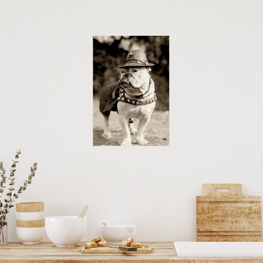 Poster Bulldog en patrouille avec casquette et cape (Cuisine)