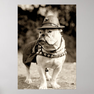 Poster Bulldog en patrouille avec casquette et cape