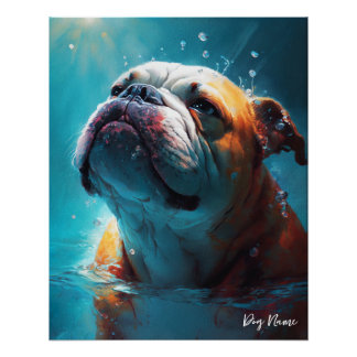 Poster Bulldog swimming in water 005