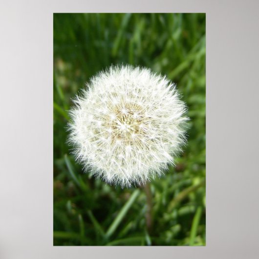 Poster bulle (Devant)