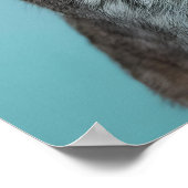 Poster Bulle de la bulle du lapin (Coin)