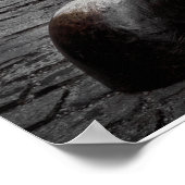 Poster BULLE DU MARCHÉ stock (Coin)