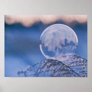 Poster Bulle sur feuilles
