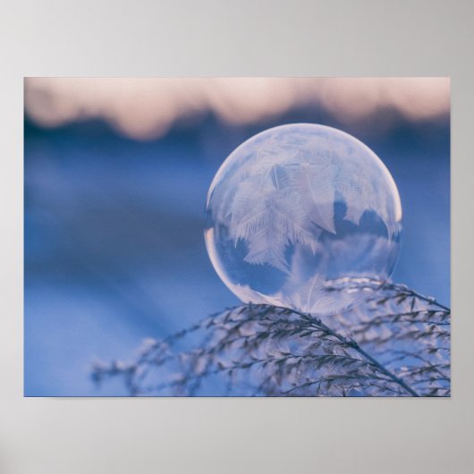 Poster Bulle sur la feuille (Devant)